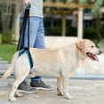 thumbnail image 2 of Pet Dog Leg Support Rear Lifting Brace Harness for Old Dogs  Aid Assist Tool Rehab Harness for Dogs with Weak Rear Legs Blue M, 2 of 5