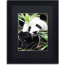 Trademark Fine Art "Giant Panda I" Canvas Art by Philippe Hugonnard, Black Matte, Black Frame