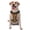 With Accessories, variant on Vsdgher Cute Beach Dolphin Pattern Dog Harness,No Pull Pet Harness with Soft Padded Handle,Adjustable Reflective Vest with 2 Buckles,4 Slide Buckles,S-XL Medium