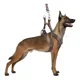 thumbnail image 1 of Set Arnés Y Correa Para Perros Grandes Resistente 2.5mts Dog, 1 of 8