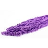 Mardi Gras Plastic Bead Necklaces for Birthday Favors and Decorations, Metallic Purple, 24-Pack