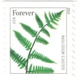 thumbnail image 5 of Ferns USPS Forever Postage Stamp 100 US First Class Fern Plants Wedding Celebration Anniversary Garden (100 Stamps), 5 of 5