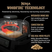 Ninja Woodfire 141 sq in 1760 Watts Electric Outdoor Grill & Smoker with Air Fry, BBQ Smoke, and Real Wood Pellet Flavor