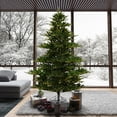 thumbnail image 5 of Vickerman 9' x 81" Sherwood Fir Artificial Christmas Tree with Warm White  LED Lights, 5 of 5