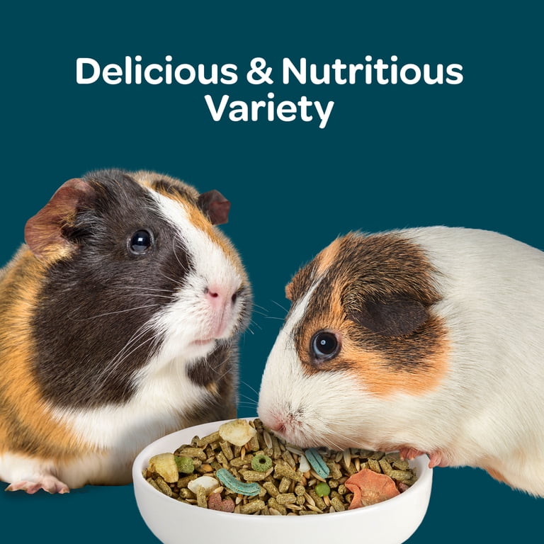 Kaytee Forti-Diet Nature's Harvest Guinea Pig Food, 5 Lb photo 2