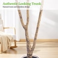 thumbnail image 3 of 5ft Artificial Olive Tree Elliptical Basin for Home Office Decor, 3 of 5