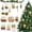 Gold, variant on Sinkoo 12pcs Sea Shell Ornaments for Christmas, 2.5"-3" Seashells Plated Golden Small Seashells Ornaments, for Christmas Tree Hanging Decorations