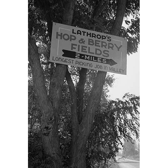 Hop & Berry Fields- Fine Art Canvas Print (20" x 30")