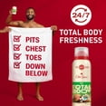 thumbnail image 2 of Desodorante Old Spice Whole Body Fiji Scent 100 ml para hombre, 2 of 9