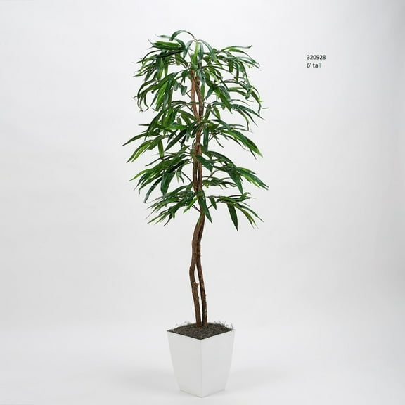 D & W Silks 6' Weeping Ficus Tree in White Square Metal Planter