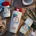 thumbnail image 3 of Desodorante Old Spice Fiji sin aluminio para hombre, 90 ml (paquete de 3), 3 of 7