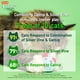 thumbnail image 4 of Juguete para Gatos Hartz Cattraction Ratoncitos con Silver Vine y Hierba Gatera, Paquete de 10, 4 of 9