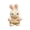 D, variant on C Easter Bunny Plush Toy For Children And Adults For Easter Decoration And Gift