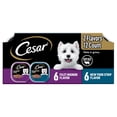 thumbnail image 2 of Cesar Filets in Gravy Adult Wet Dog Food Variety Pack, Filet Mignon and New York Strip Flavors, 3.5 oz. Easy Peel Trays, Variety Pack, 12 Count (Pack of 48), 2 of 8