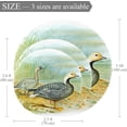 thumbnail image 2 of Emperor Goose Round Soft Area Rugs 2.6ft Anti-Slip Cute Circle Carpet for Teen Girls Room, Circular Rug for Nursery Room, Dorm, Cute Room Decor for Baby, 2 of 7