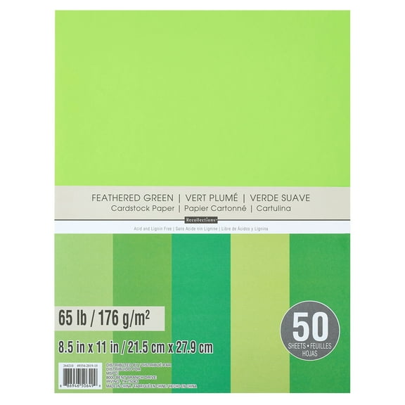 50 Sheets Feathered Greens 8.5” x 11” Cardstock Paper by Recollections - Acid and Lignin Free Paper for Scrapbooks - Arts & Crafts - 1 Pack