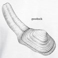 thumbnail image 3 of CafePress - Geoduck Hooded Sweatshirt - Pullover Hoodie, Hooded Sweatshirt, 3 of 4