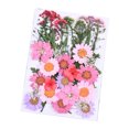 thumbnail image 4 of Injueey Flores secas Ramos naturales Flores prensadas Múltiples decoraciones florales Pintura de pared Accesorios de bricolaje Decoración de A 5Conjunto, 4 of 6