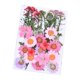 thumbnail image 4 of Cateissary Flores secas Flores prensadas Múltiples hermosos accesorios de bricolaje Suministros para fiestas Decoración de arte para tarjetas de A 5Conjunto, 4 of 6