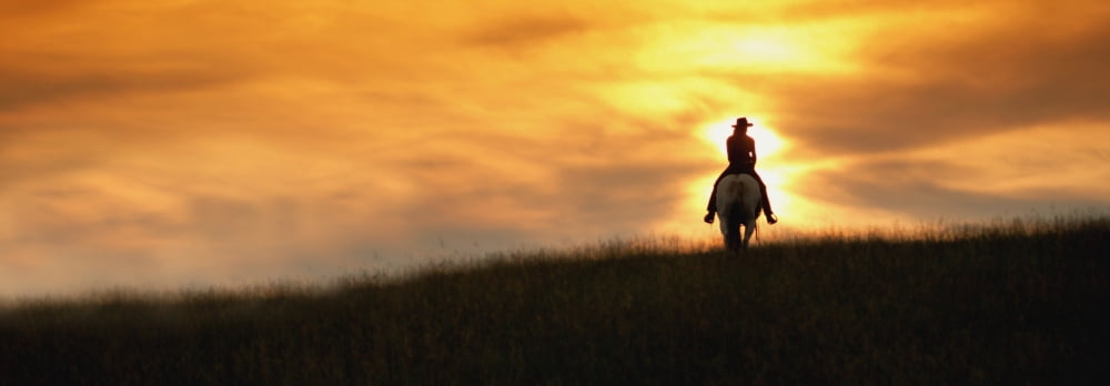 Horseback Rider Canvas Art - Darren Greenwood Design Pics (23 x 8)