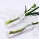 thumbnail image 4 of Matsuzay Tubería de almacenamiento de agua óptima para arreglos florales de larga duración, que es la opción preferida para pequeños y Jardín y Patio blanco Estilo largo 100 piezas, 4 of 6