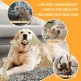 thumbnail image 6 of BMAG Dog Rope Toys for Aggressive Chewers, Tug of War Chew Medium Dog Toy with 5 Knot  for Teeth Cleaning, Beige, 6 of 6