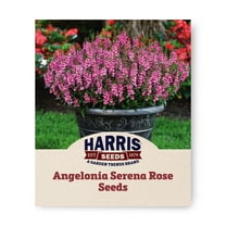 Harris Seeds - Angelonia Serena Rose F1 Seed Deep Rose with Dark Eye - 100 Seeds