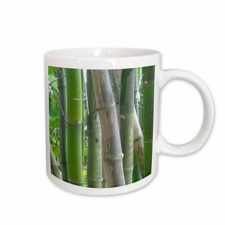

3dRose Pure Bamboo Ceramic Mug 11-ounce
