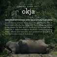 thumbnail image 2 of OKJA 4K UHD BD [UHD], 2 of 4