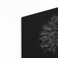 thumbnail image 2 of Luxe Metal Art 'Backyard Flowers In Black And White 45' by Brian Carson, Metal Wall Art, 24"x16", 2 of 8