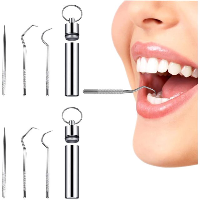 2PCS Stainless Steel Toothpicks Reusable Cleaning Tooth Hook Metal Toothpicks with Holder with Keychain Box for Outdoor Picnic Camping Traveling