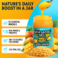 thumbnail image 2 of Biolore Superfood Natural Jam No Added Sugar | Mango Pineapple 8 oz | Jelly Spread with Sea Moss Gel & Fruit Purée | Vegan, GMO Free, Made in the USA, 2 of 7