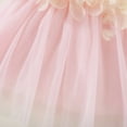thumbnail image 5 of Fancy Dress for Girls New Toddler Kids Kids Girls Cute Summer Mesh Solid Color Print Flower Suspenders Dress Skirt Toddler Christmas Dress Easter Girl Dress Pinky New, 5 of 9