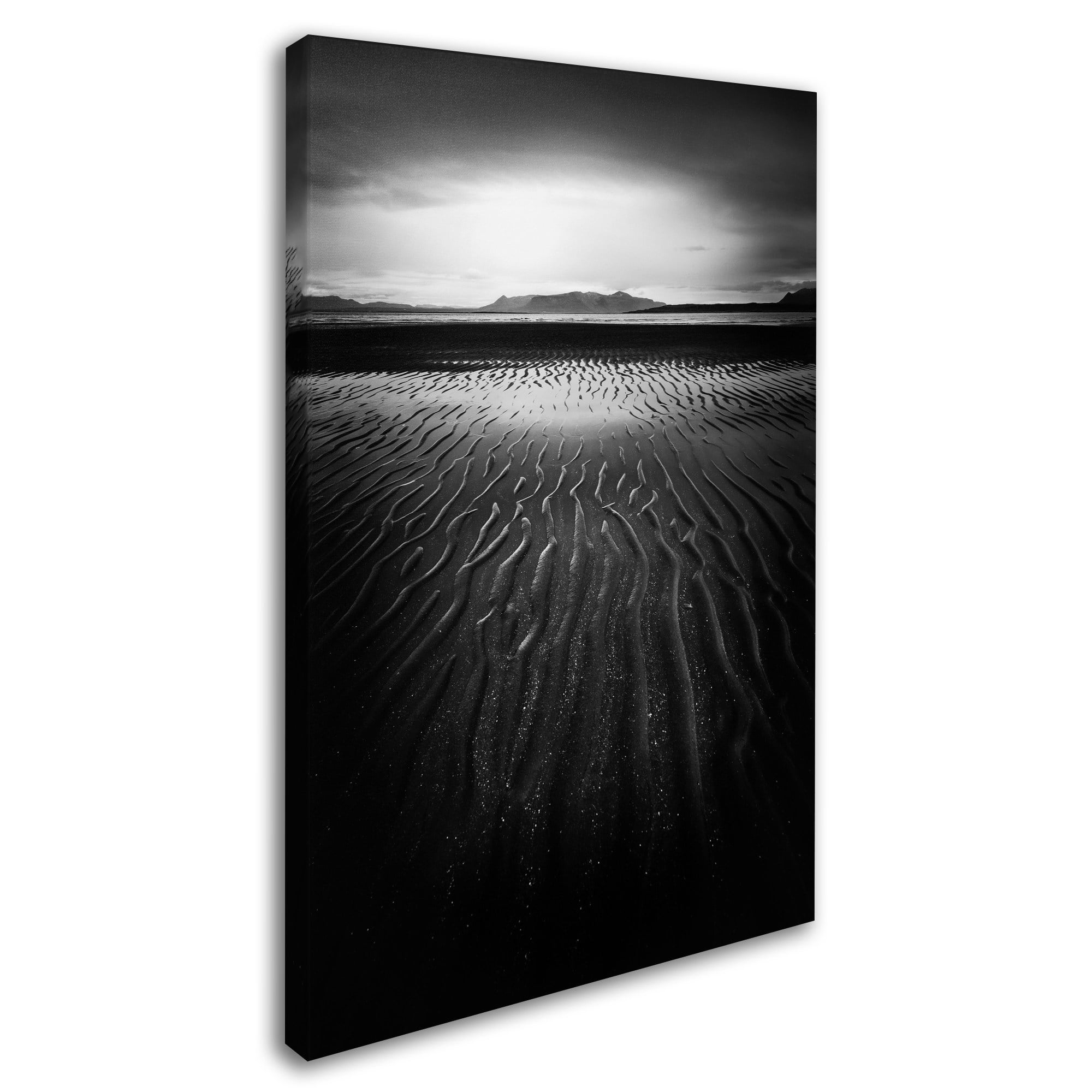 Trademark Fine Art 'Black Magic' Canvas Art by Philippe Sainte-Laudy