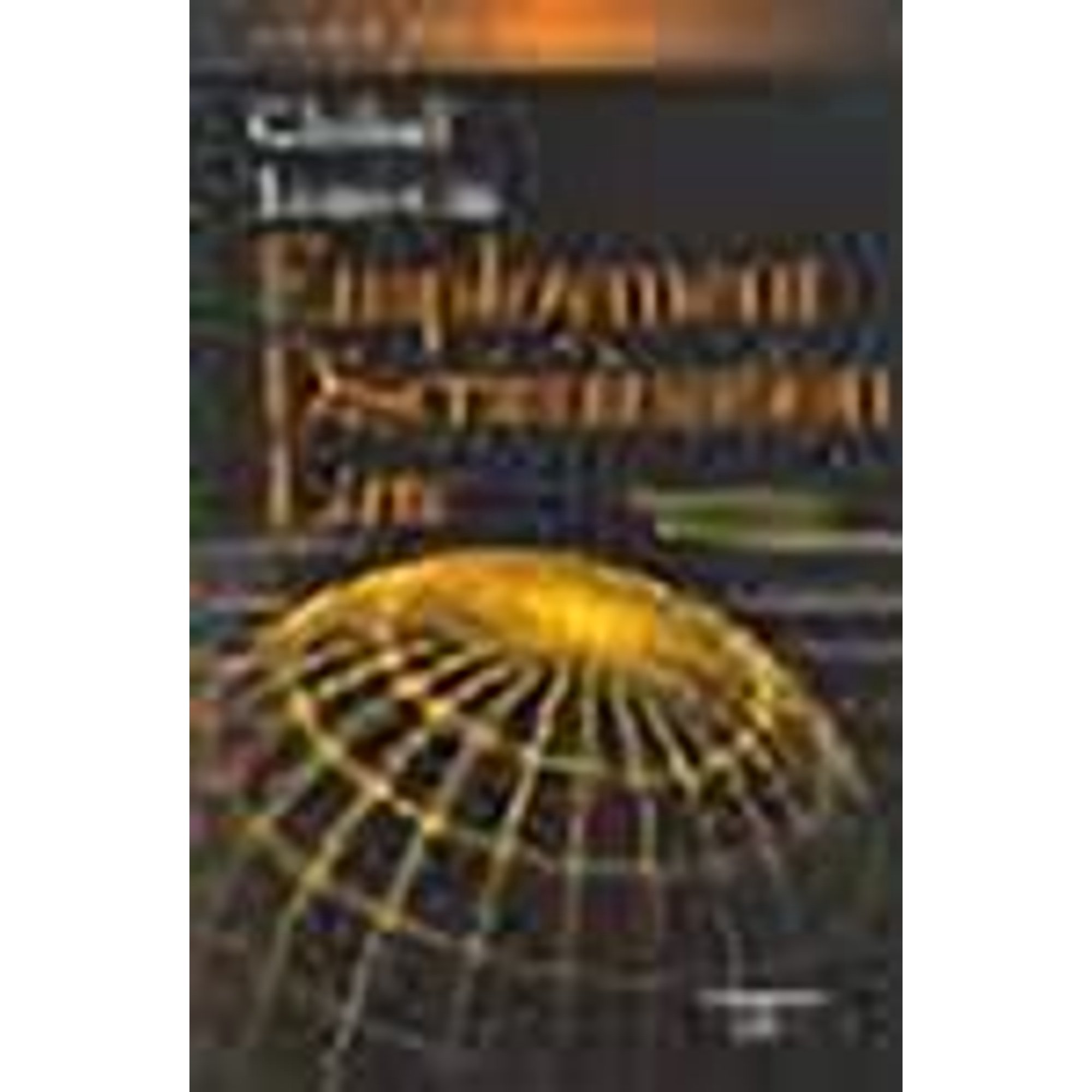 Global Issues in Employment Discrimination Law (Paperback) 0314176071 9780314176073