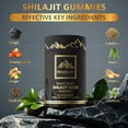 thumbnail image 3 of Suplemento SoundHealth Pure Himalayan Shilajit Gummies Gold, 3 of 7