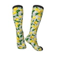 thumbnail image 5 of Lsque Lemon Seamless Pattern Oil Painting Effect Printed Crew Socks Men's Women's LightWeight Thin Casual Calf Socks ,Knee High Socks,Cotton Socks, 5 of 9