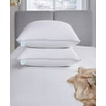 Martha Stewart 400 Thread Count Cotton Medium Firm Down Bed Pillow Standard