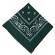 thumbnail image 5 of Bufanda pequeña cuadrada de moda Hip hop Cool Guy mujeres hombres impresión cabeza envoltura rap estrella pañuelo cuello lazo para el pelo Accesorios para máquinas de ejercicios Verde oscuro Advancent JJ15373-06, 5 of 6