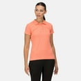 thumbnail image 3 of Regatta Polo Sinton pour Femmes, 3 of 9