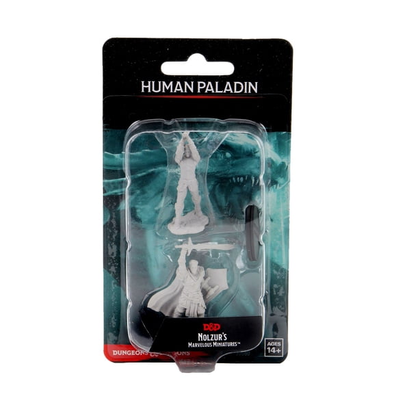 D&D: Nolzur's Marvelous Miniatures - Male Human Paladin