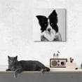 thumbnail image 2 of Stupell Industries Border Collie Pet Dog Portrait Black White Animals & Insects Painting Gallery Wrapped Canvas Art Print Wall Art, 36 x 36, 2 of 6