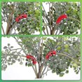 thumbnail image 4 of 90 Degree Plant Bender Lst Clips Plant Holder Gardening Tool For Low Stress Training, 4 of 5