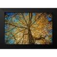 thumbnail image 2 of Oldford, Tim 14x11 Black Modern Framed Museum Art Print Titled - Fall Tree, 2 of 5