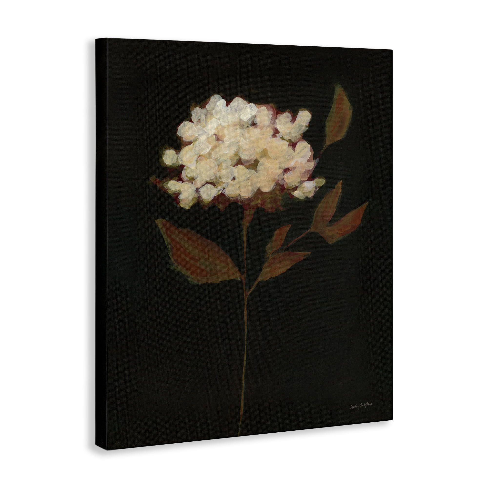 Stupell Industries Dark Fall Flower Botanical & Floral Painting Gallery Wrapped Canvas Art Print Wall Art, 16 x 20
