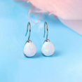 thumbnail image 5 of Limerencia Hypoallergenic Titanium Jewelry Water Drops Cubic Zirconia/Opal Earrings for Sensitive Ears Women, 5 of 5