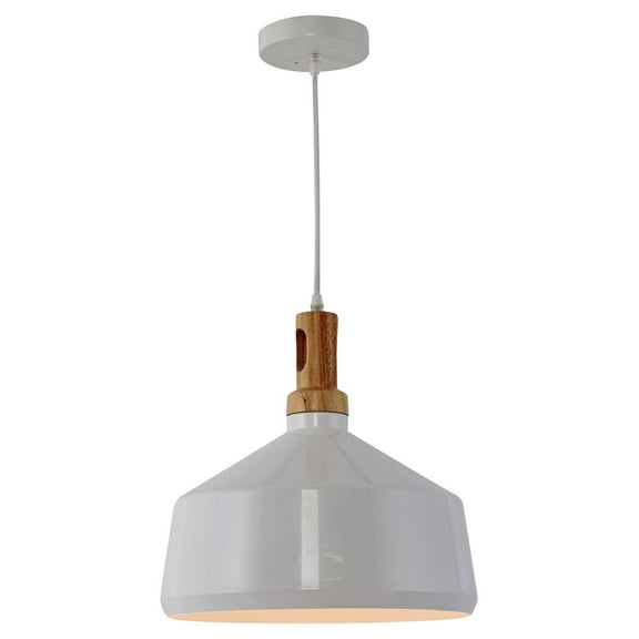 Blanc Collection One Light Pendant