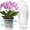 Clear, variant on Tekola Orchid Pot, 6 Pack 6.3 Inch Orchid Pots with Holes and Saucers, Clear Orchid Pots for Repotting, Plastic Flower Plant Pot for Indoor Outdoor Plants, Slotted Orchids Planter for Root Health