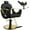 BLACKNEW, variant on FAYEAN Hydraulic Barber Chair, Adjustable Salon Chair with 360° Swivel, Heavy Duty Styling Chair for Hair Stylist and Beauty Spa Equipment