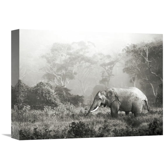 Global Gallery Frank Krahmer,'African elephant, Ngorongoro Crater, Tanzania' Stretched Canvas Artwork